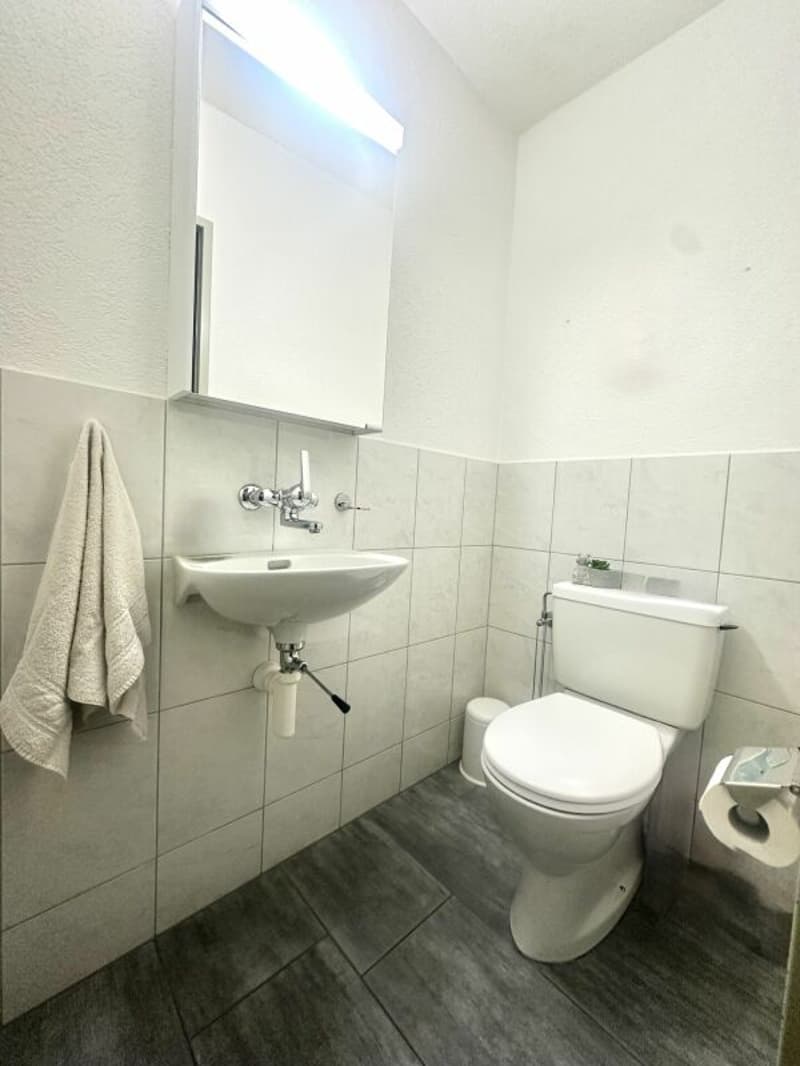 4.5 Room Apartment for Wellbeing (15)