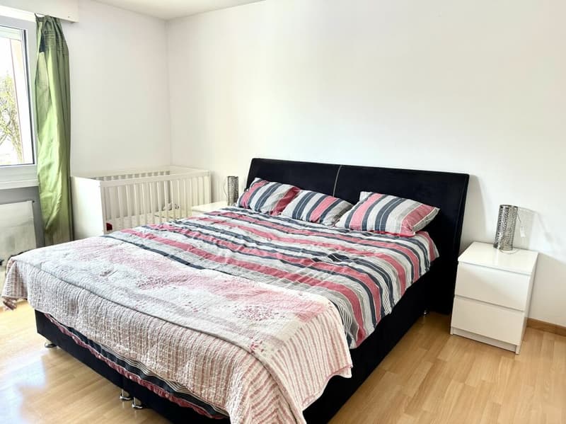 4.5 Room Apartment for Wellbeing (23)
