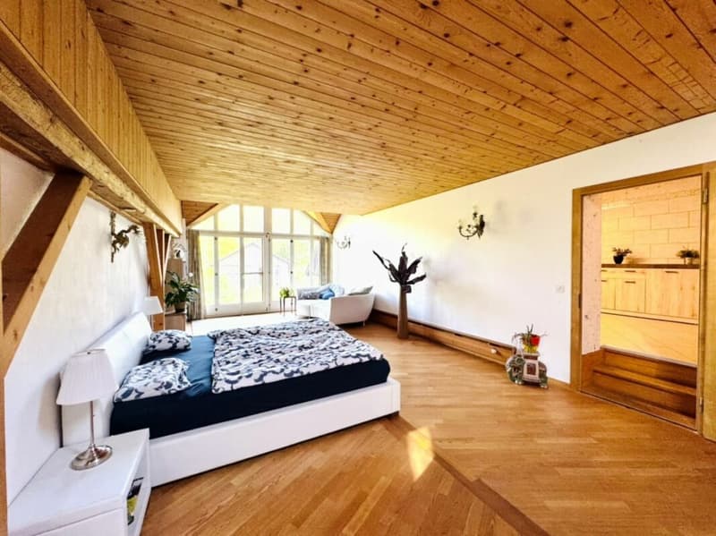 Grosses freistehendes 7.5-Zimmer-Bauernhaus für Pferdeliebhaber oder Kleintierhalter! Pferdeboxen, Remise, Wald und Wiesen .... (19)