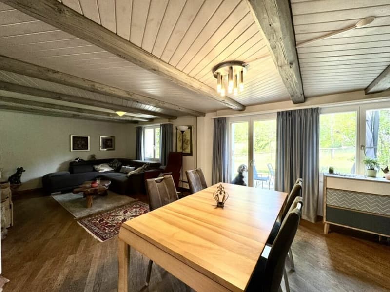 Grosses freistehendes 7.5-Zimmer-Bauernhaus für Pferdeliebhaber oder Kleintierhalter! Pferdeboxen, Remise, Wald und Wiesen .... (13)