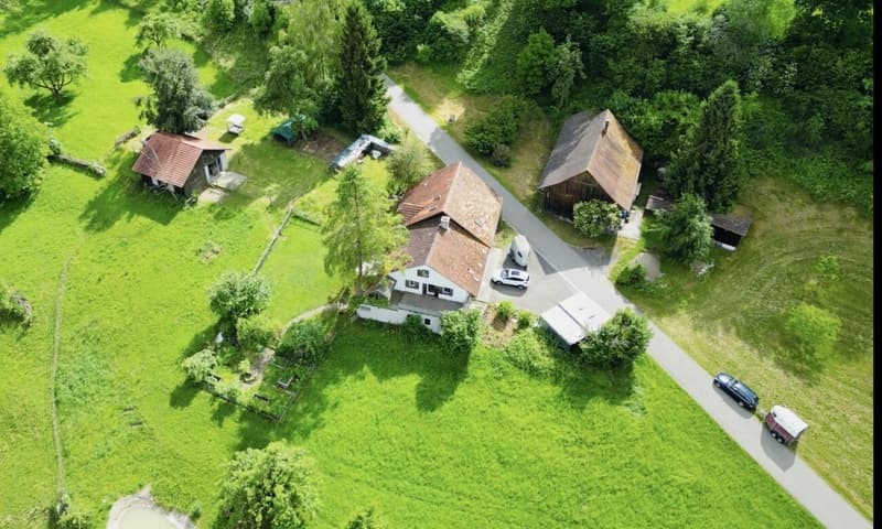 Grosses freistehendes 7.5-Zimmer-Bauernhaus für Pferdeliebhaber oder Kleintierhalter! Pferdeboxen, Remise, Wald und Wiesen .... (1)