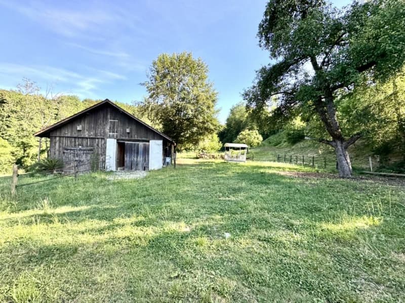 Grosses freistehendes 7.5-Zimmer-Bauernhaus für Pferdeliebhaber oder Kleintierhalter! Pferdeboxen, Remise, Wald und Wiesen .... (42)
