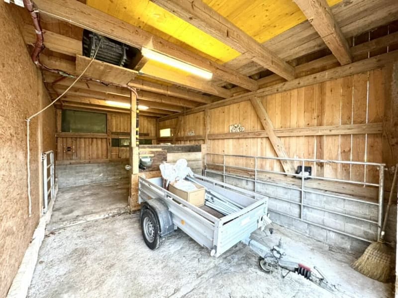 Grosses freistehendes 7.5-Zimmer-Bauernhaus für Pferdeliebhaber oder Kleintierhalter! Pferdeboxen, Remise, Wald und Wiesen .... (41)