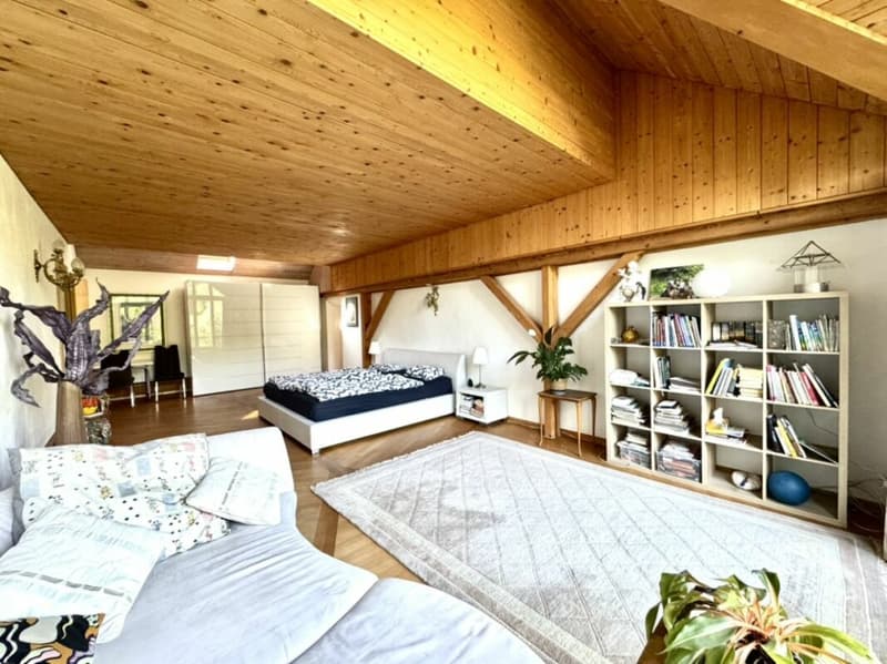 Grosses freistehendes 7.5-Zimmer-Bauernhaus für Pferdeliebhaber oder Kleintierhalter! Pferdeboxen, Remise, Wald und Wiesen .... (8)
