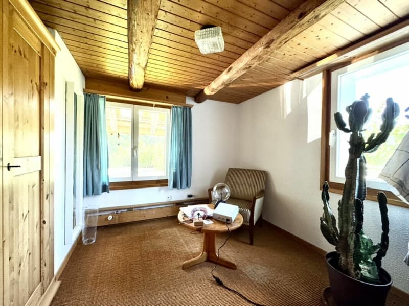 Grosses freistehendes 7.5-Zimmer-Bauernhaus für Pferdeliebhaber oder Kleintierhalter! Pferdeboxen, Remise, Wald und Wiesen .... (27)