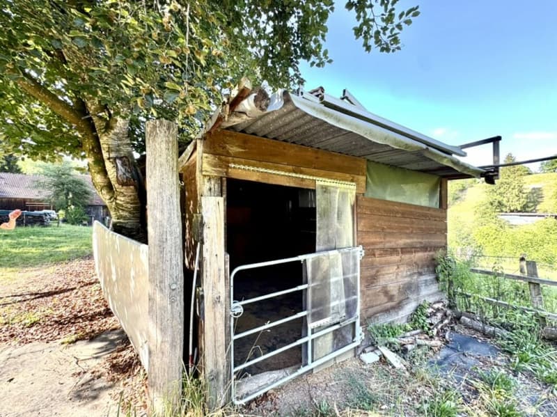 Grosses freistehendes 7.5-Zimmer-Bauernhaus für Pferdeliebhaber oder Kleintierhalter! Pferdeboxen, Remise, Wald und Wiesen .... (43)