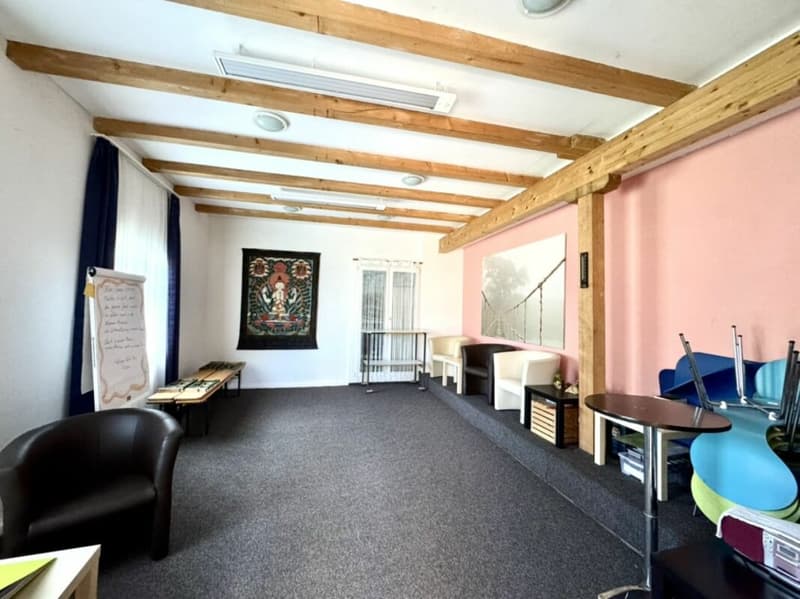 Grosses freistehendes 7.5-Zimmer-Bauernhaus für Pferdeliebhaber oder Kleintierhalter! Pferdeboxen, Remise, Wald und Wiesen .... (29)