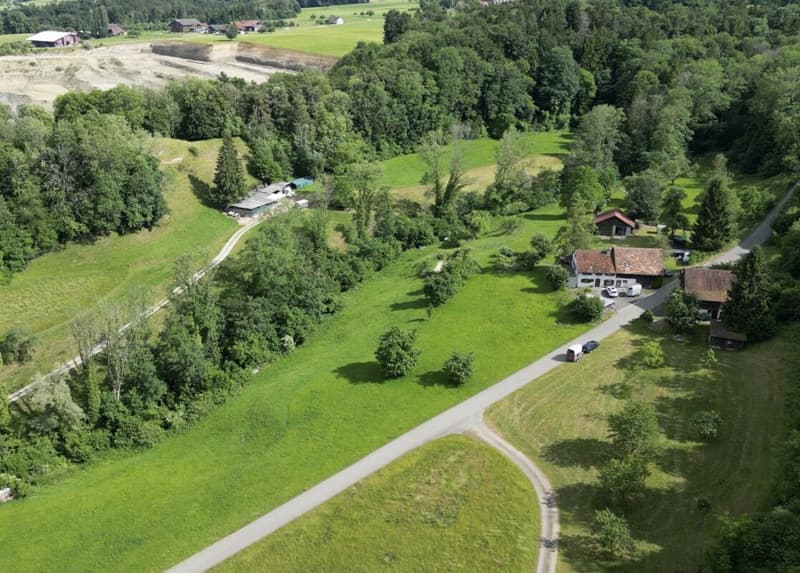 Grosses freistehendes 7.5-Zimmer-Bauernhaus für Pferdeliebhaber oder Kleintierhalter! Pferdeboxen, Remise, Wald und Wiesen .... (46)