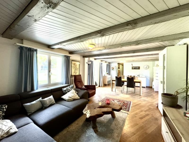 Grosses freistehendes 7.5-Zimmer-Bauernhaus für Pferdeliebhaber oder Kleintierhalter! Pferdeboxen, Remise, Wald und Wiesen .... (3)
