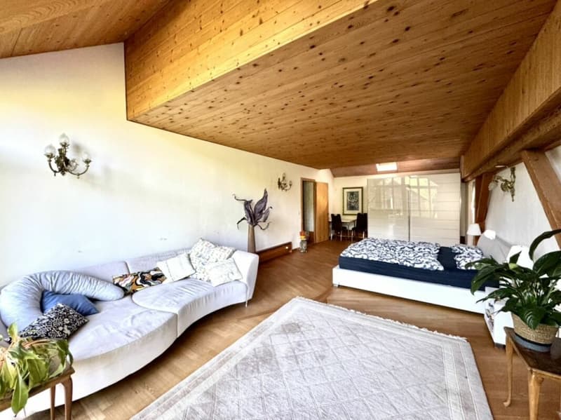 Grosses freistehendes 7.5-Zimmer-Bauernhaus für Pferdeliebhaber oder Kleintierhalter! Pferdeboxen, Remise, Wald und Wiesen .... (9)