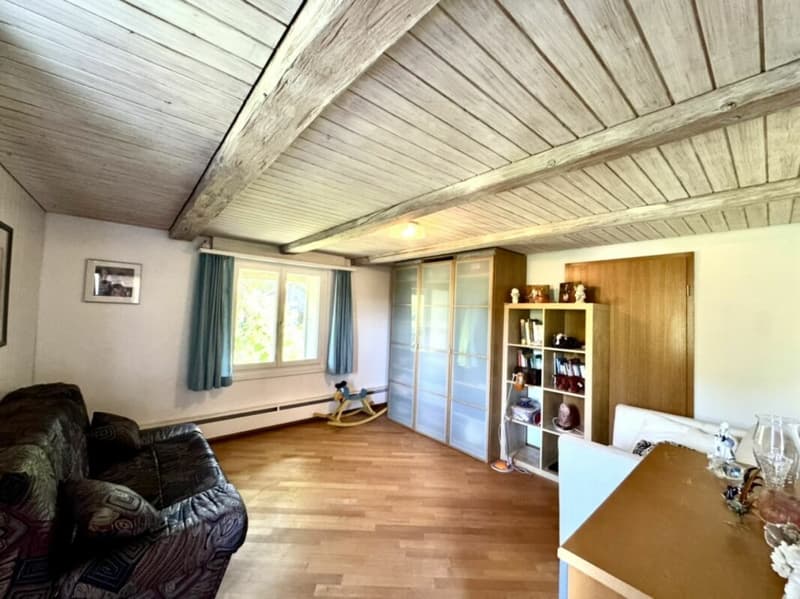 Grosses freistehendes 7.5-Zimmer-Bauernhaus für Pferdeliebhaber oder Kleintierhalter! Pferdeboxen, Remise, Wald und Wiesen .... (26)