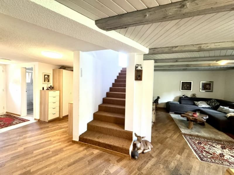Grosses freistehendes 7.5-Zimmer-Bauernhaus für Pferdeliebhaber oder Kleintierhalter! Pferdeboxen, Remise, Wald und Wiesen .... (17)