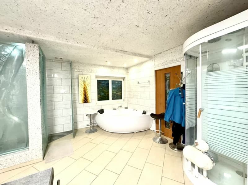 Grosses freistehendes 7.5-Zimmer-Bauernhaus für Pferdeliebhaber oder Kleintierhalter! Pferdeboxen, Remise, Wald und Wiesen .... (14)