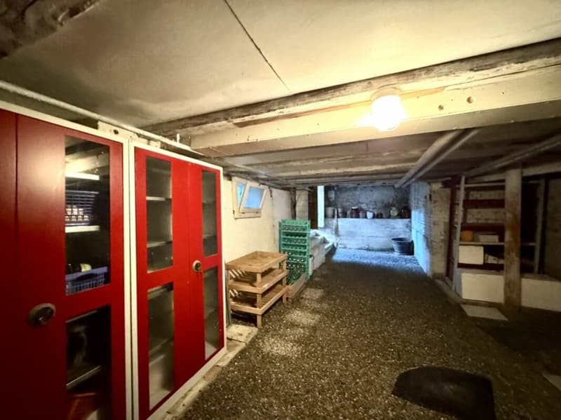 Grosses freistehendes 7.5-Zimmer-Bauernhaus für Pferdeliebhaber oder Kleintierhalter! Pferdeboxen, Remise, Wald und Wiesen .... (38)
