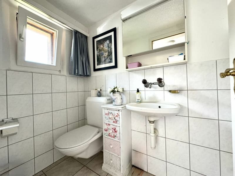 Grosses freistehendes 7.5-Zimmer-Bauernhaus für Pferdeliebhaber oder Kleintierhalter! Pferdeboxen, Remise, Wald und Wiesen .... (7)