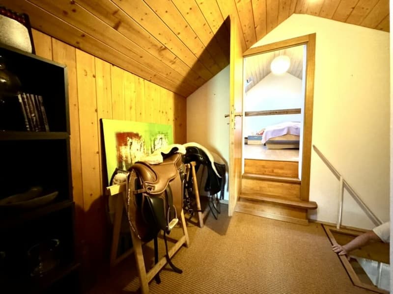 Grosses freistehendes 7.5-Zimmer-Bauernhaus für Pferdeliebhaber oder Kleintierhalter! Pferdeboxen, Remise, Wald und Wiesen .... (30)