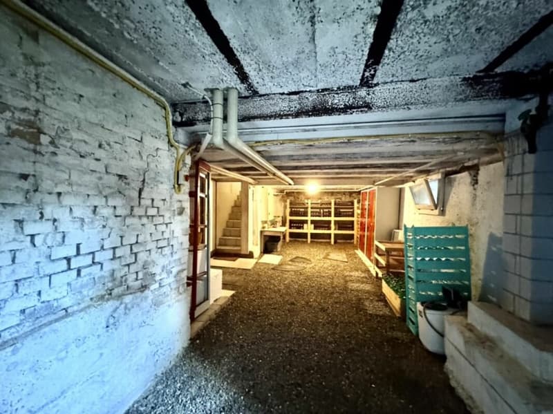 Grosses freistehendes 7.5-Zimmer-Bauernhaus für Pferdeliebhaber oder Kleintierhalter! Pferdeboxen, Remise, Wald und Wiesen .... (39)