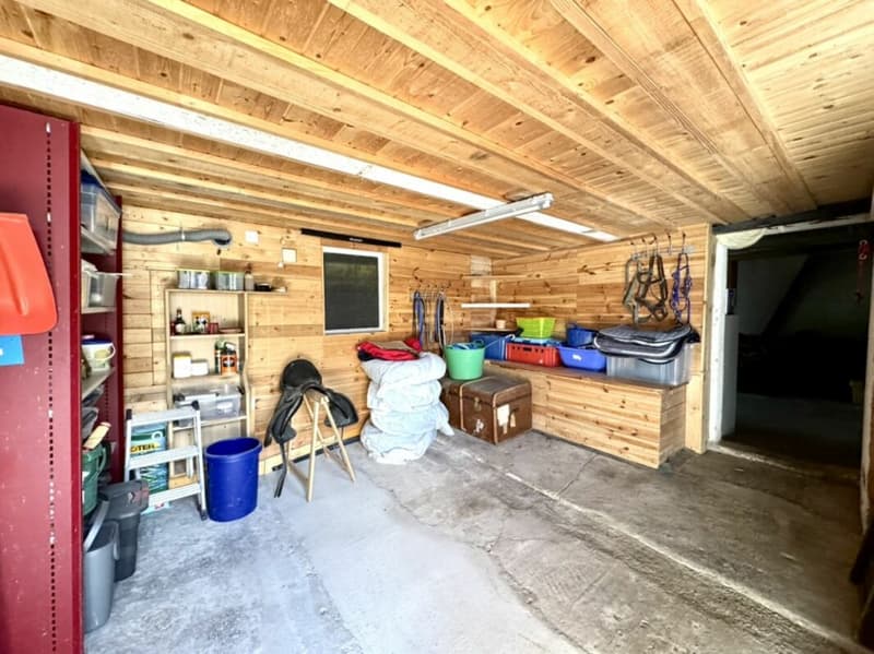 Grosses freistehendes 7.5-Zimmer-Bauernhaus für Pferdeliebhaber oder Kleintierhalter! Pferdeboxen, Remise, Wald und Wiesen .... (40)