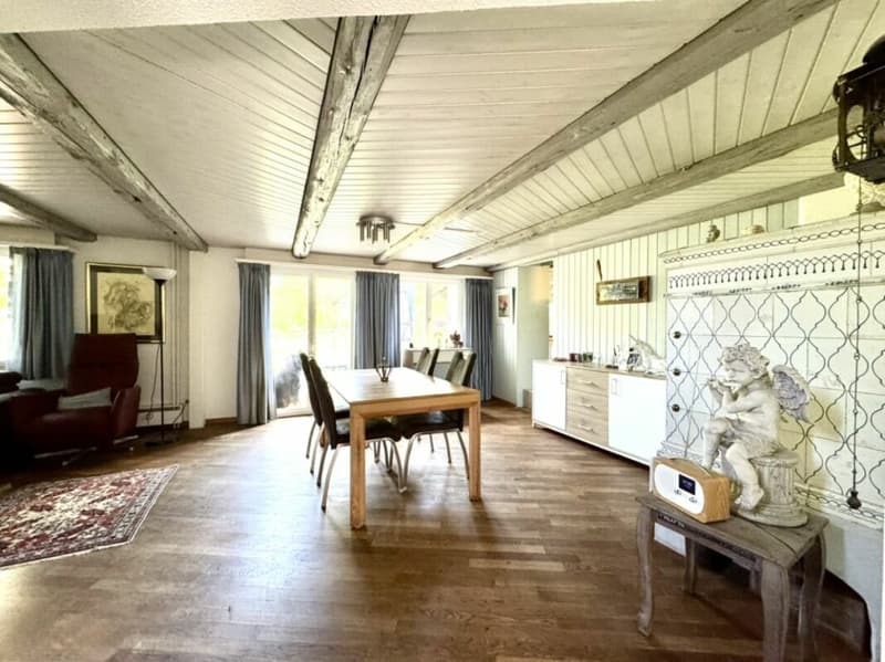 Grosses freistehendes 7.5-Zimmer-Bauernhaus für Pferdeliebhaber oder Kleintierhalter! Pferdeboxen, Remise, Wald und Wiesen .... (10)