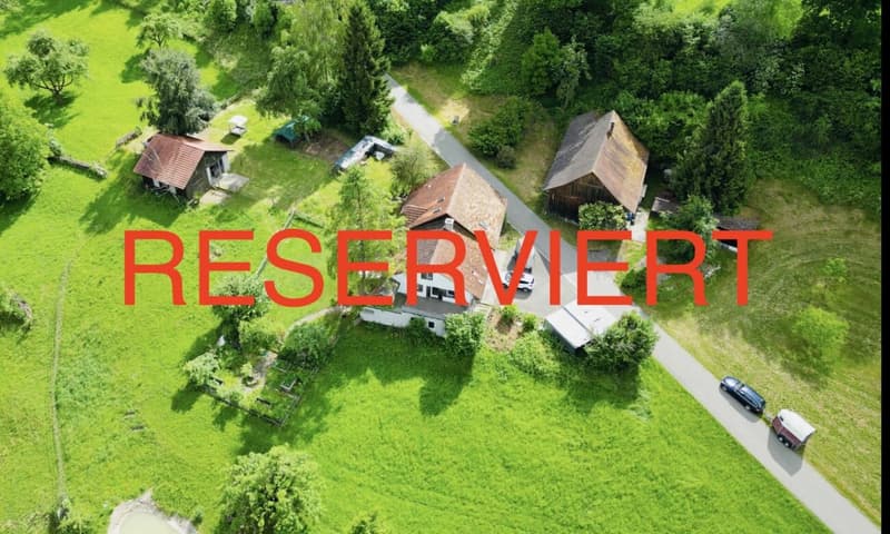 Grosses freistehendes 7.5-Zimmer-Bauernhaus für Pferdeliebhaber oder Kleintierhalter! Pferdeboxen, Remise, Wald und Wiesen .... (1)