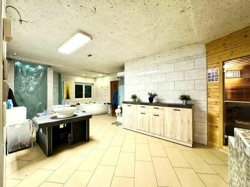 Grosses freistehendes 7.5-Zimmer-Bauernhaus für Pferdeliebhaber oder Kleintierhalter! Pferdeboxen, Remise, Wald und Wiesen .... (25)