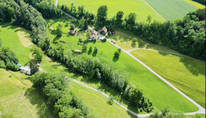 Grosses freistehendes 7.5-Zimmer-Bauernhaus für Pferdeliebhaber oder Kleintierhalter! Pferdeboxen, Remise, Wald und Wiesen .... (48)