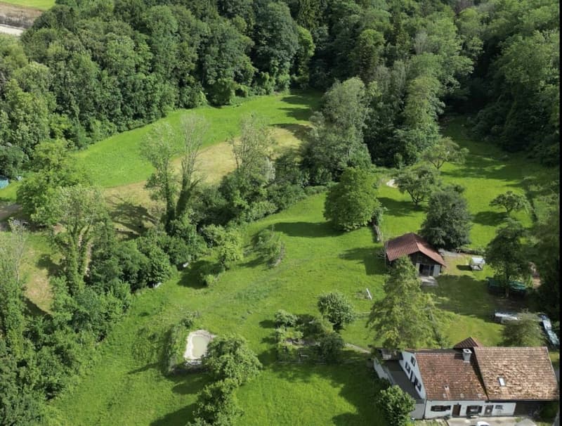 Grosses freistehendes 7.5-Zimmer-Bauernhaus für Pferdeliebhaber oder Kleintierhalter! Pferdeboxen, Remise, Wald und Wiesen .... (49)
