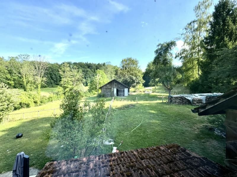 Grosses freistehendes 7.5-Zimmer-Bauernhaus für Pferdeliebhaber oder Kleintierhalter! Pferdeboxen, Remise, Wald und Wiesen .... (45)