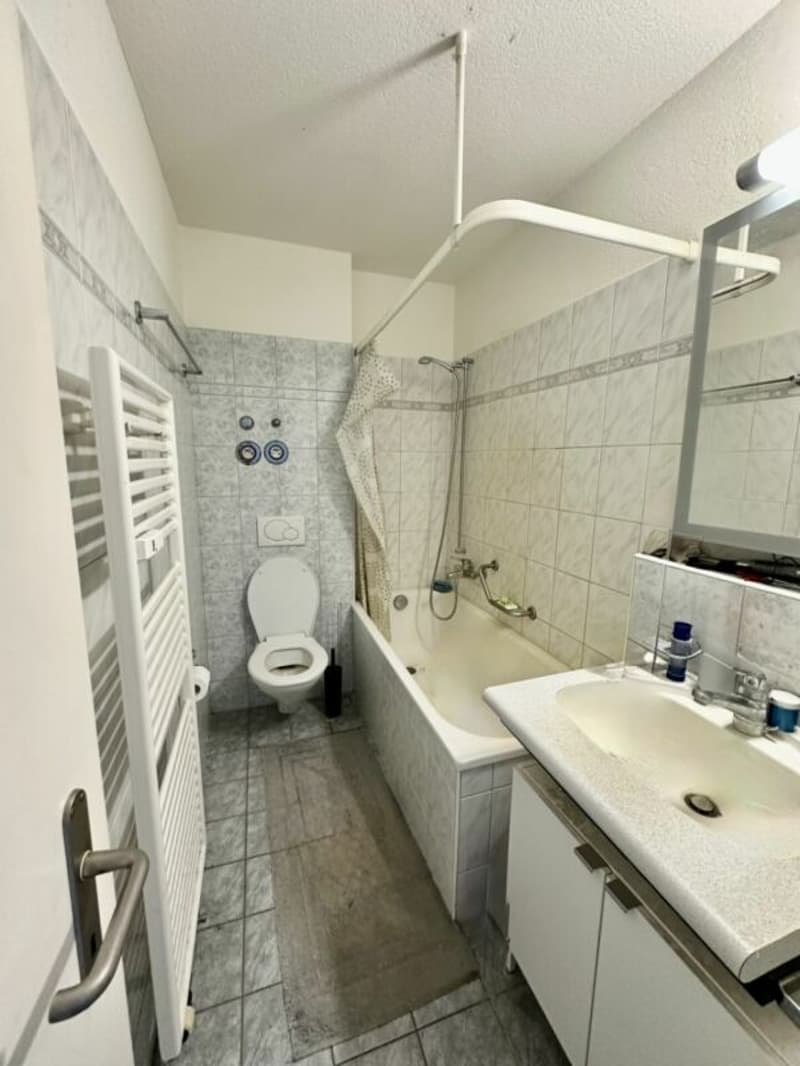 2.5 Zimmer Wohnung (9)