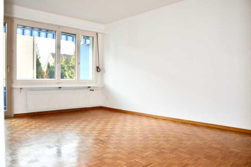 3.5 Zimmer Wohnung (3)