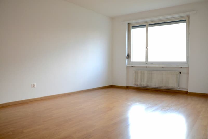 3.5 Zimmer Wohnung (9)