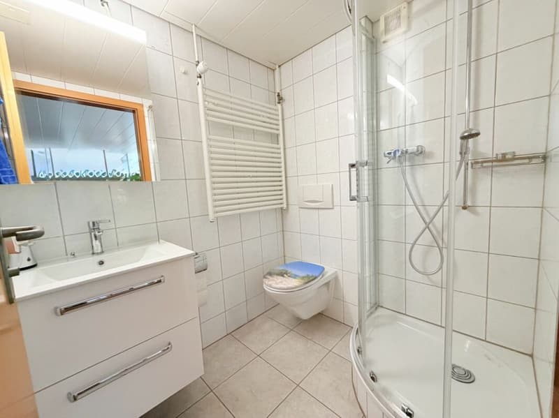 4.5-Zimmer-EFH mit 2.5-Zimmer-Einliegerwohnung an einer naturnahen Lage (16)