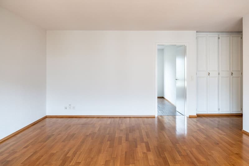 empty room, white walls, wooden floor, power outlets, closet