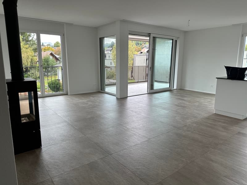 Modern 4-room new apartment with balcony and beautiful view in Uetendorf (7)