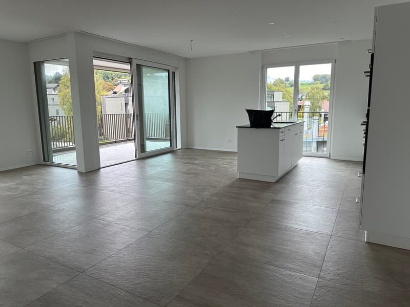 Modern 4-room new apartment with balcony and beautiful view in Uetendorf (6)