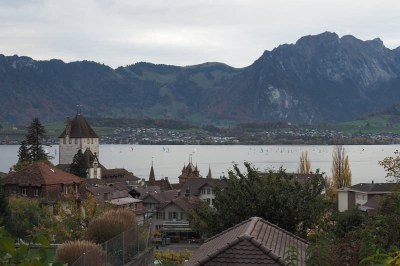 Charmante 4.5-Zimmer-Wohnung mit Seesicht in Oberhofen am Thunersee (3)