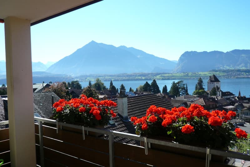 Charmante 4.5-Zimmer-Wohnung mit Seesicht in Oberhofen am Thunersee (1)