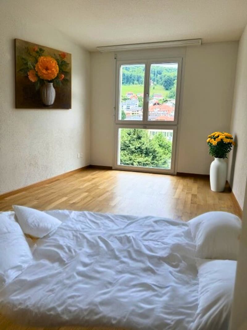 Appartamento luminoso 4.5 locali con vista montagna e balcone a Toffen (8)