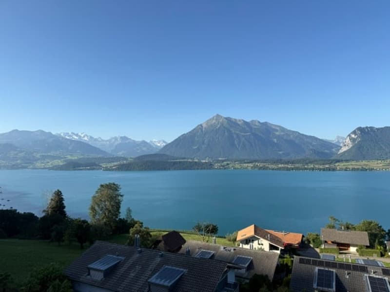 Vista panoramica sul lago di Thun: ampio appartamento di 2,5 locali al piano terra a Oberhofen (4)