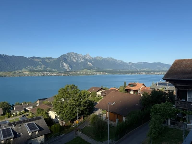 Vista panoramica sul lago di Thun: ampio appartamento di 2,5 locali al piano terra a Oberhofen (3)