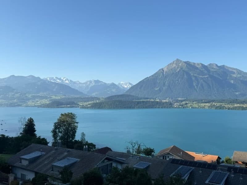 Vista panoramica sul lago di Thun: ampio appartamento di 2,5 locali al piano terra a Oberhofen (2)