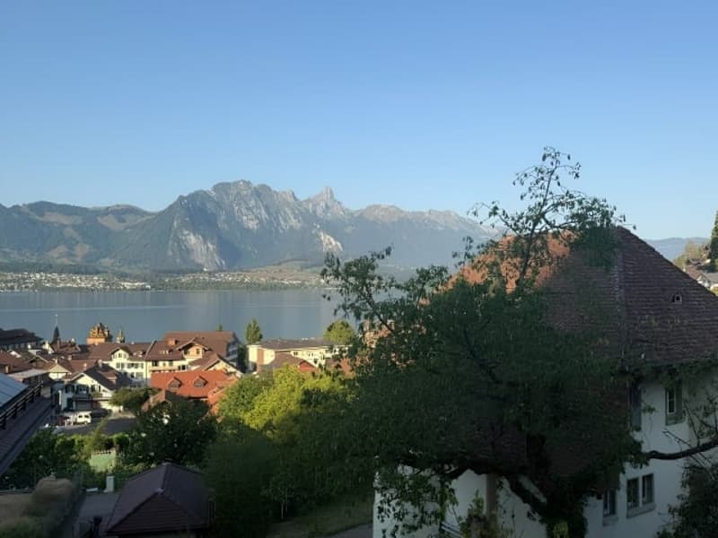 Charmante 4-Zimmer-Wohnung mit Seeblick in Oberhofen am Thunersee (1)
