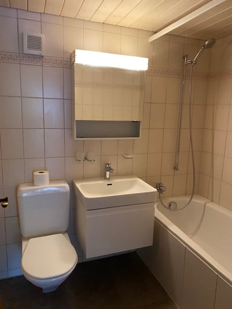Charmante 4-Zimmer-Wohnung in Toffen mit Balkon (8)