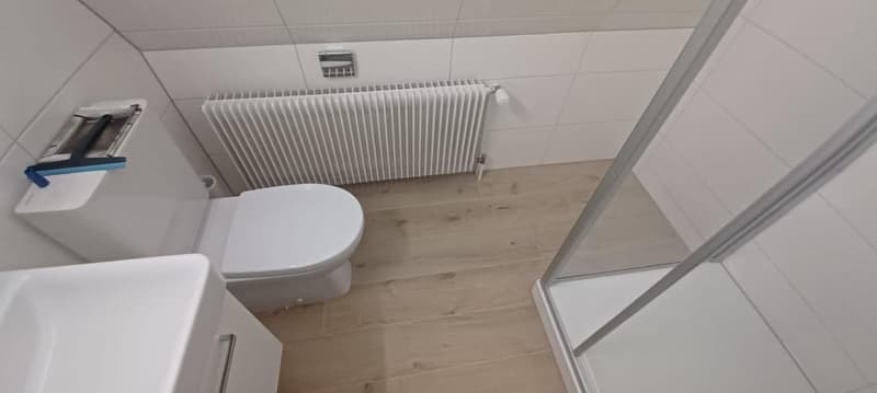 Gemütliche 3-Zimmer-Altbauwohnung in Thun – möbliert und sofort bezugsbereit (9)