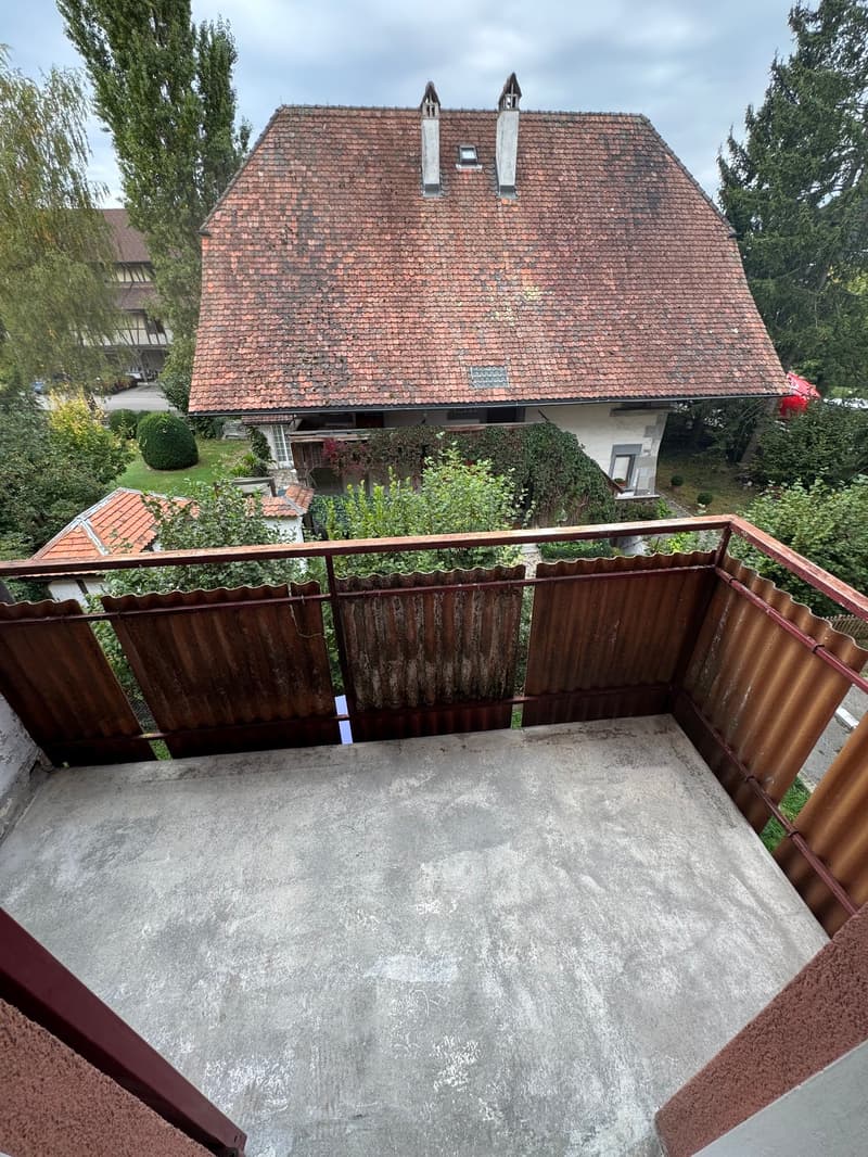 Helle, charmante 4-Zimmer-Wohnung an ruhiger Lage (7)