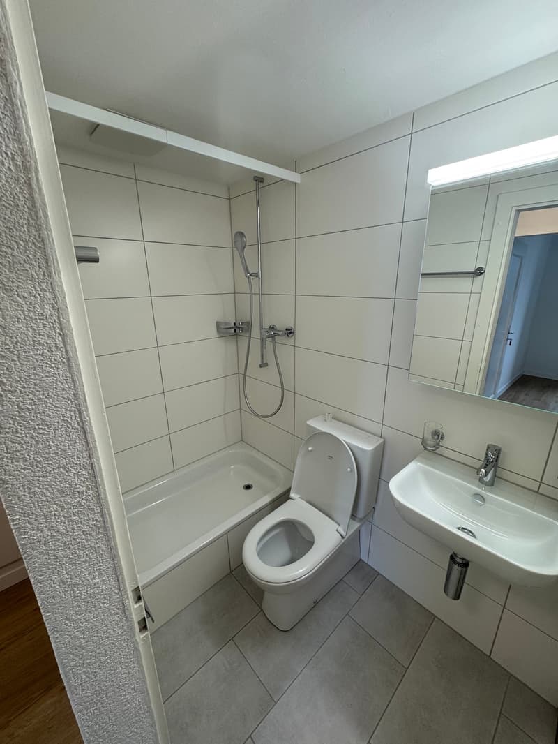 Helle, charmante 4-Zimmer-Wohnung an ruhiger Lage (2)