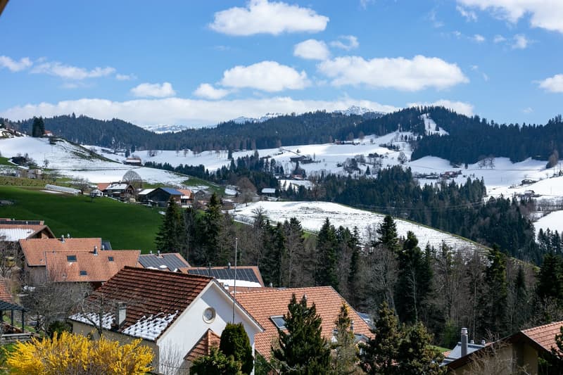 Gemütliche 3-Zimmer-Dachwohnung mit Balkon in Goldiwil b. Thun (1)