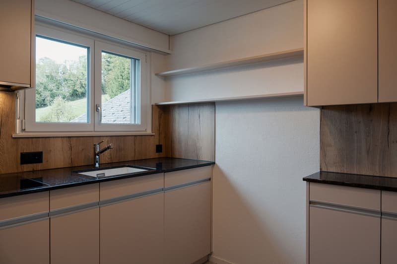 Charmante 4-Zimmer-Dachwohnung mit traumhaftem See- und Bergblick in Oberhofen am Thunersee (4)