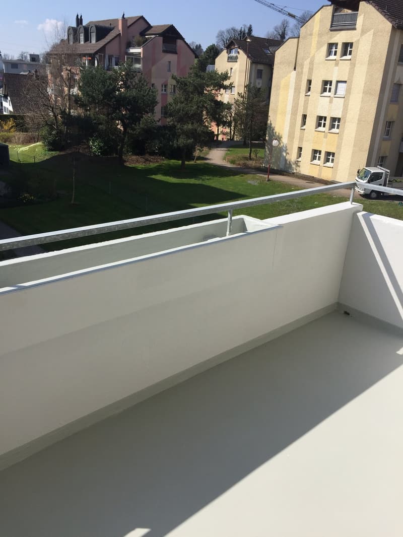 Incantevole appartamento di 1.5 camere con balcone a Jona (7)