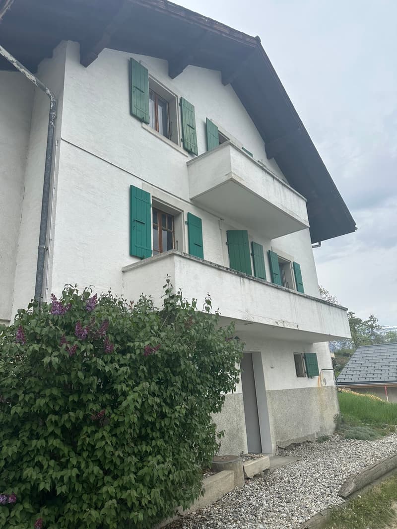 Spacious house to renovate in Basse-Nendaz (2)